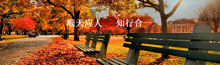 業(yè)務領域